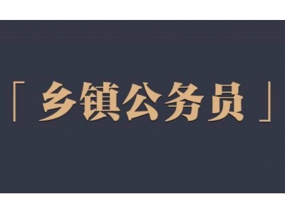 鄉(xiāng)鎮(zhèn)公務員待遇？
