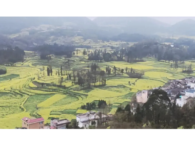 芭田股份主營(yíng)業(yè)務(wù)？